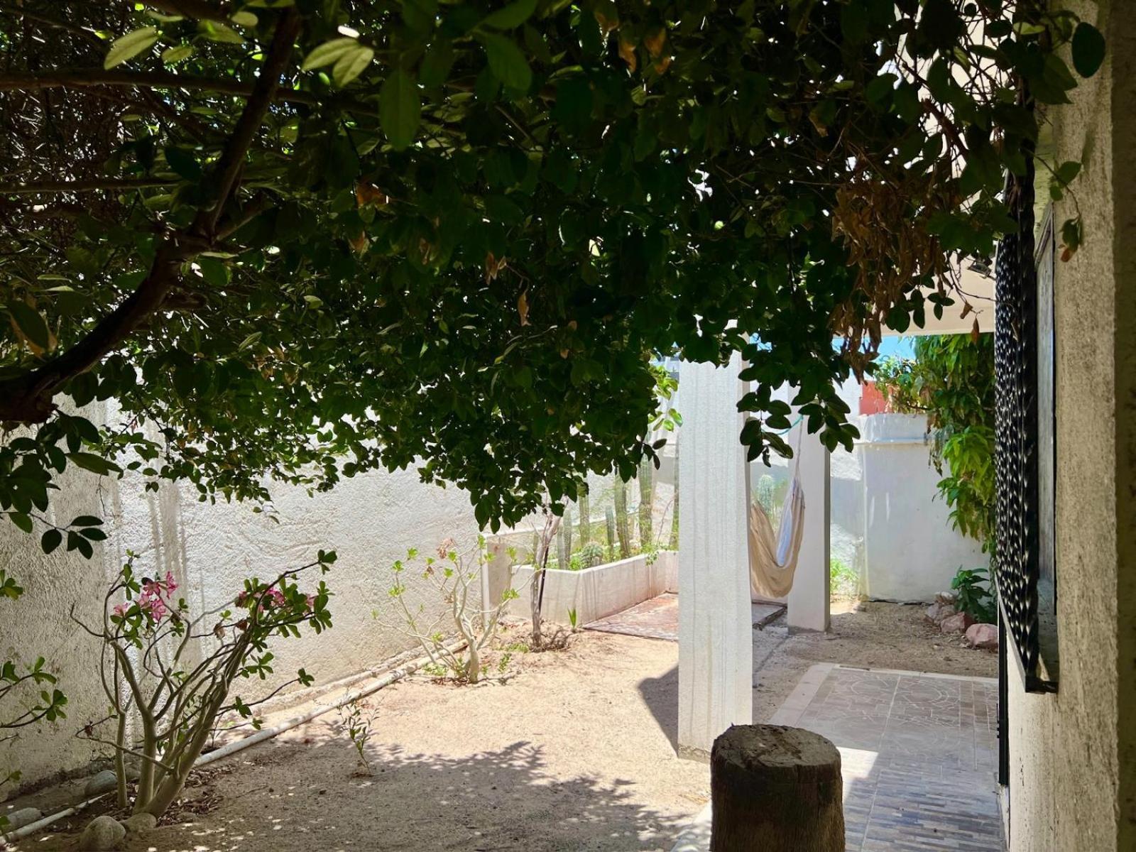 Apartament La Casa Del Pescador La Paz Zewnętrze zdjęcie