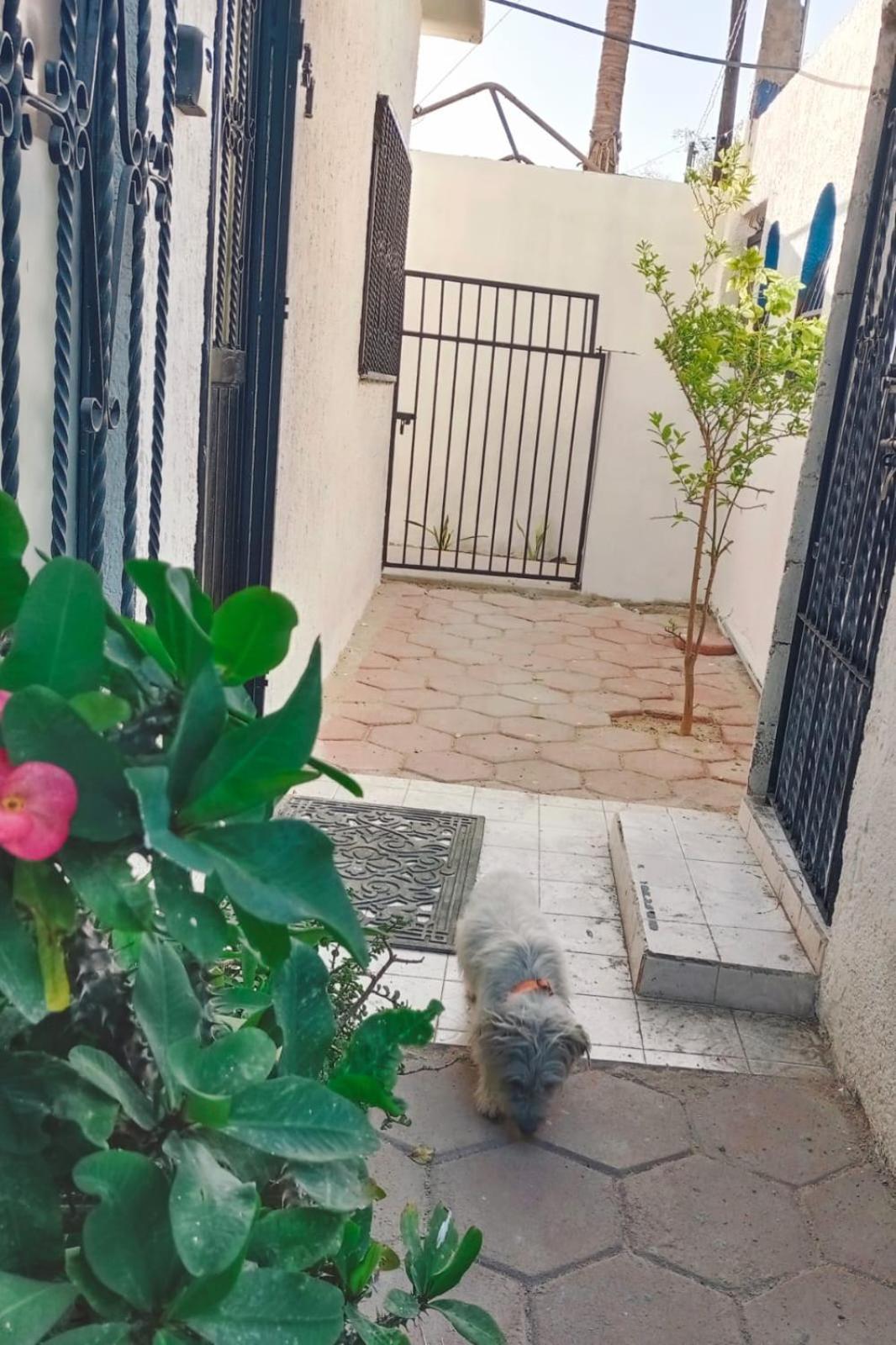 Apartament La Casa Del Pescador La Paz Zewnętrze zdjęcie